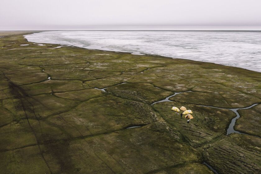 This Sunday, June 30, 2019, aerial photo released by Earthjustice shows the Alaska's North Slope in the Western Arctic on the edge of Teshekpuk Lake, Alaska. The Biden administration issued a long-awaited study on Wednesday, Feb. 1, 2023, that recommends allowing a major oil development on Alaska's North Slope, and the move — while not final — drew immediate anger from environmentalists who saw it as a betrayal of the president's pledges to reduce carbon emissions and promote clean energy sources. (Kiliii Yuyan for Earthjustice via AP)