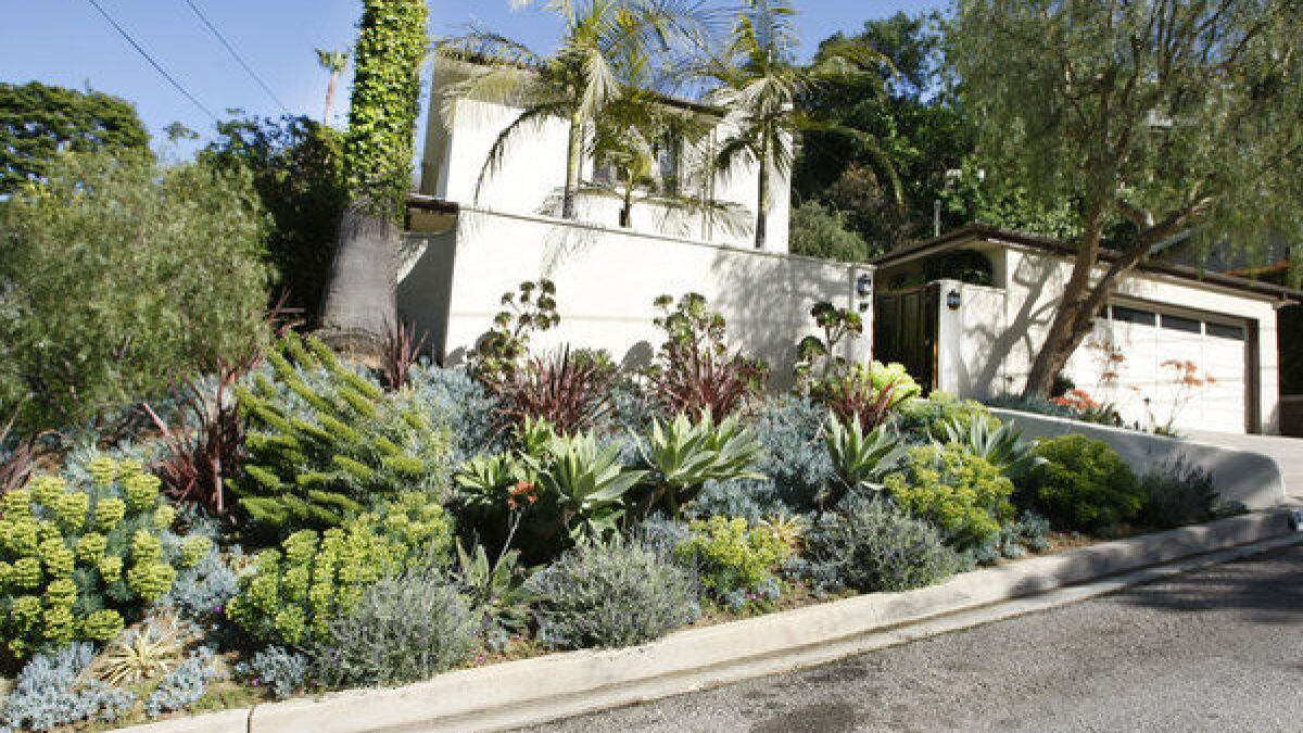Hillside Gardening Hollywood Couple Tames Their Slope Los Angeles Times