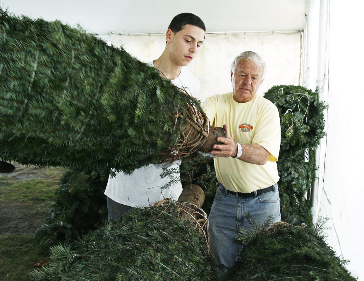 Harry Avetisyan, 16, brings a Christmas tree to Gary Casella, the owner of Casellas Christmas Trees in Burbank in back of Burbank High School on Tuesday, November 27, 2012. Casellas has sold trees in Burbank for 75 years.