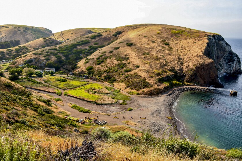 A photo looking down a hillside and out at the ocean, from atop Santa Cruz Island.