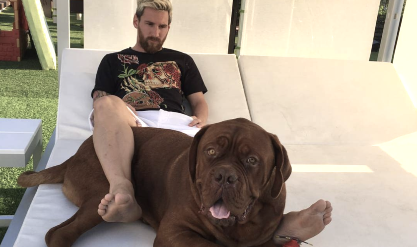 Lionel Messi y su perro 'Hulk'.