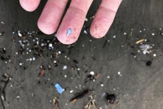 This Jan. 19, 2020 photo shows microplastic debris that has washed up at Depoe Bay, Ore. Dozens of scientists from around the U.S. West will attend a gathering this week in Bremerton, Wash., to better focus the research on the environmental threat. (AP Photo/Andrew Selsky)