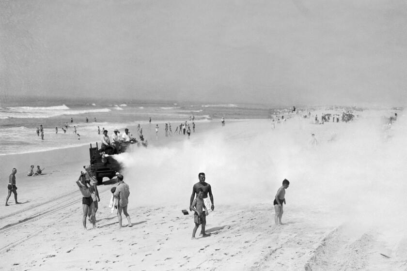 UNITED STATES - JANUARY 02: In 1945, A Truck Spraying Ddt (Dichloro- Diphenol- Trichlorethane) On Jones Beach, Long Island (New York) To Eliminate Mosquitoes. The People On The Beach Do Not Seem Worried About The Toxicity Of D.D.T., Recognized Today. (Photo by Keystone-France/Gamma-Keystone via Getty Images)