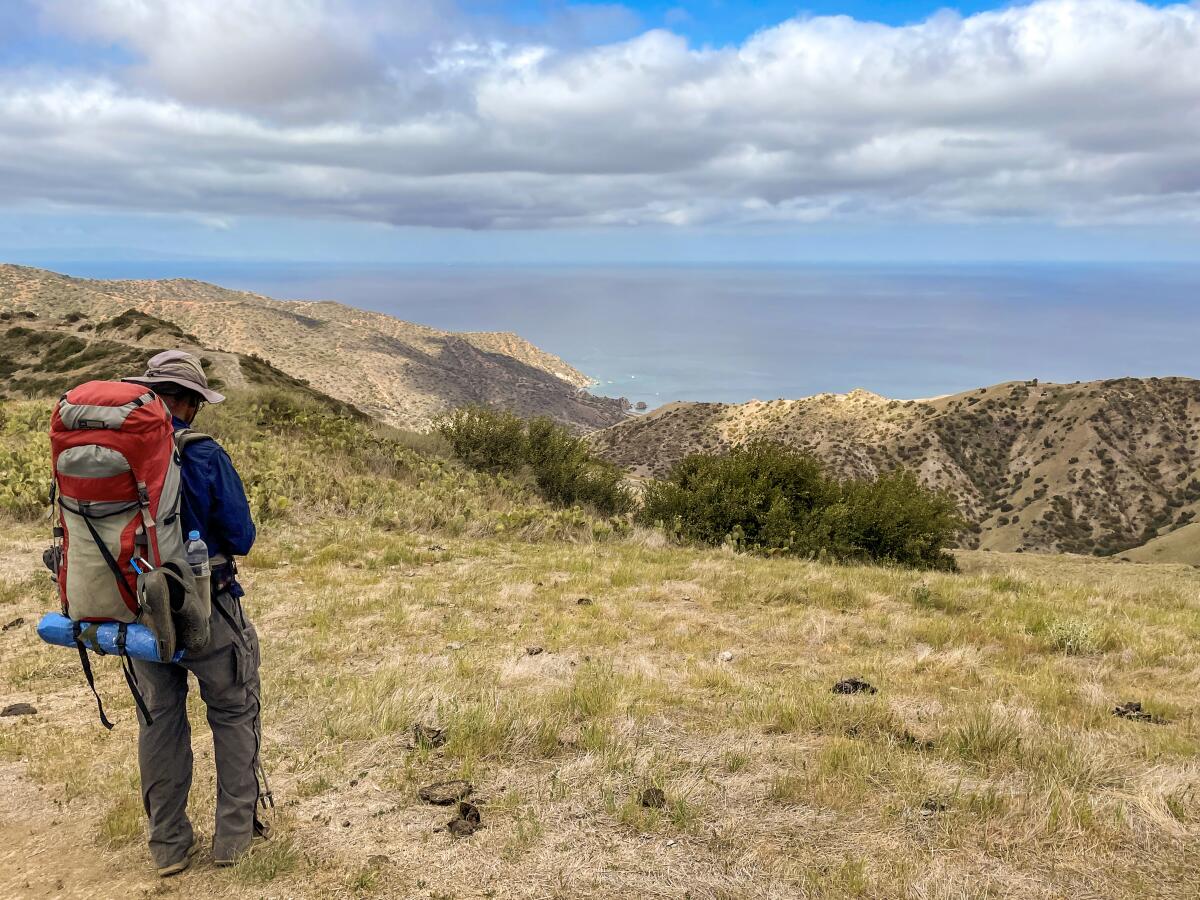 Elevated view of brush and the ocean from the trail