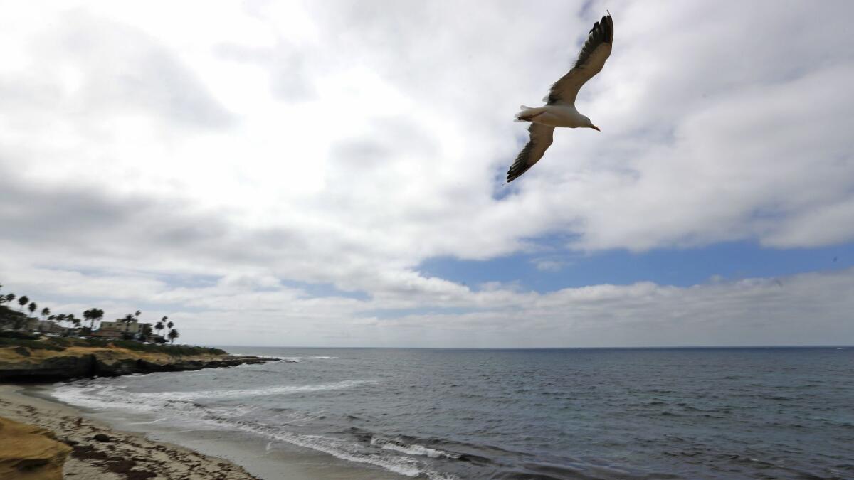 And don't forget the beaches of La Jolla, part of what makes a weekend escape so relaxing.