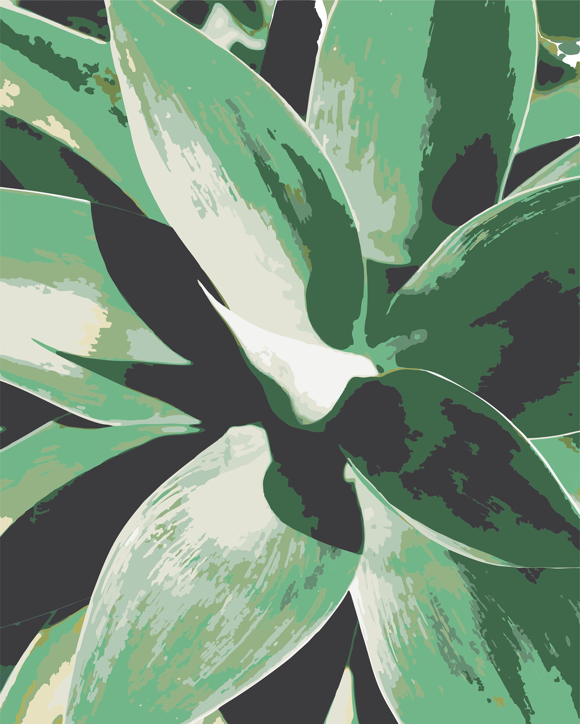 Agave Plant Paint by Numbers Kit (16"x20") by Texture of Dreams. $29