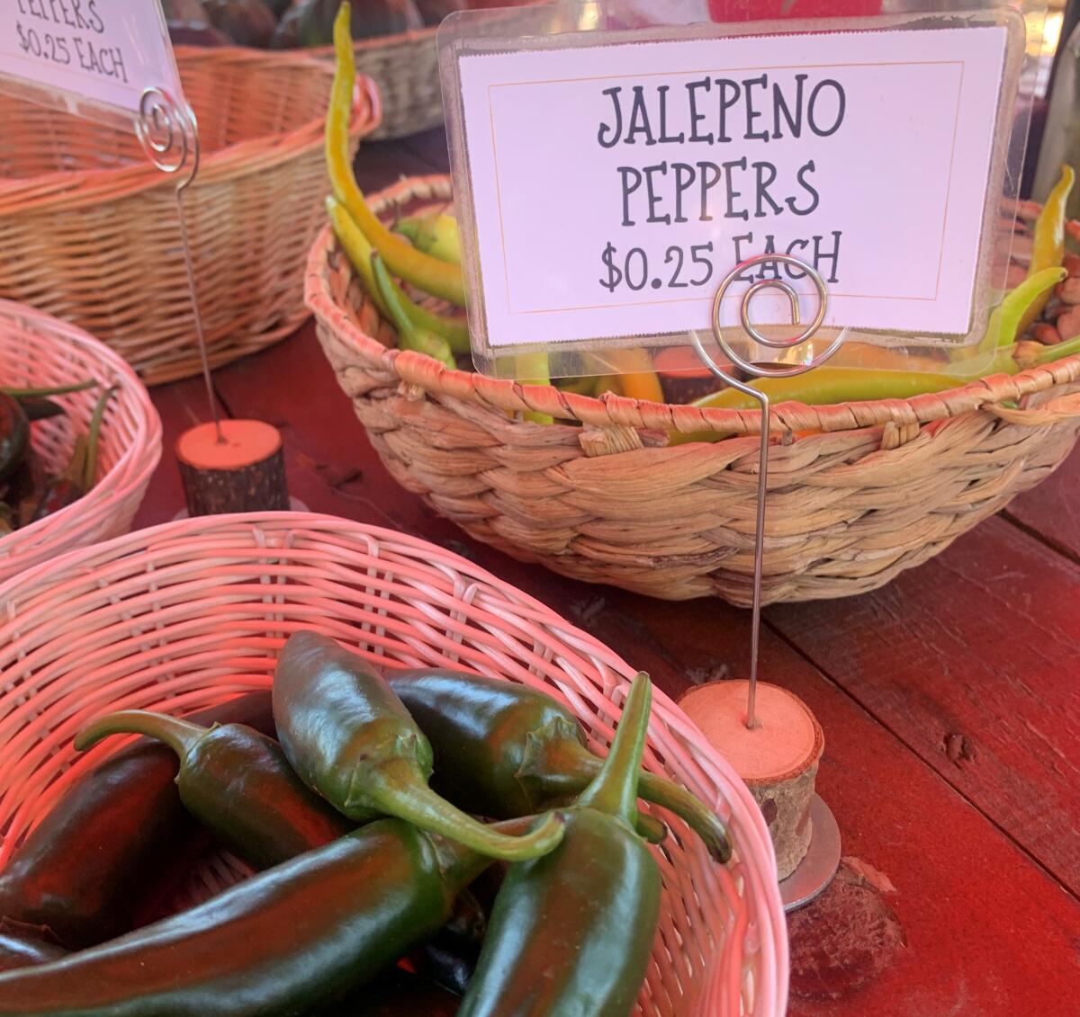 Jalapeno peppers in baskets for sale at a farm stand