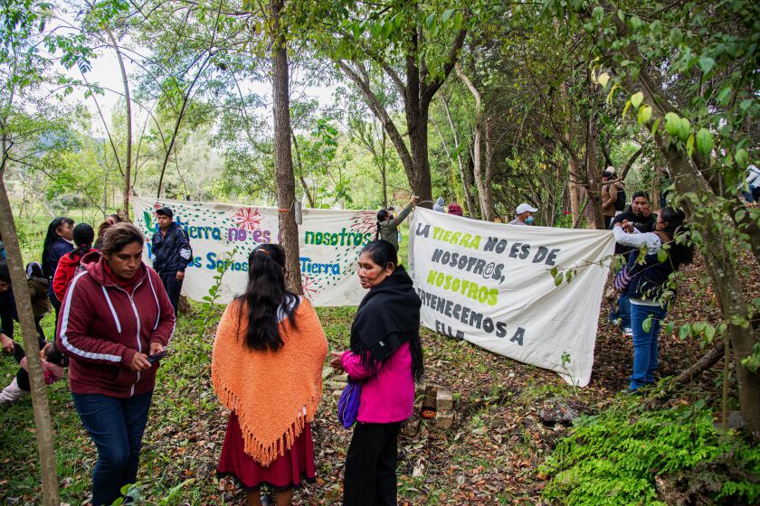 Marchan en sur de México para pedir protección a ecosistemas de agua