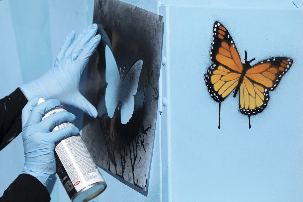 A closeup of the artist spray painting a stencil of a butterfly.