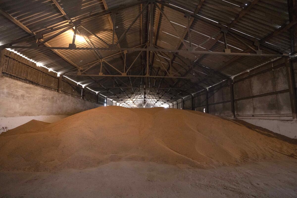 A wheat warehouse in western Ukraine.