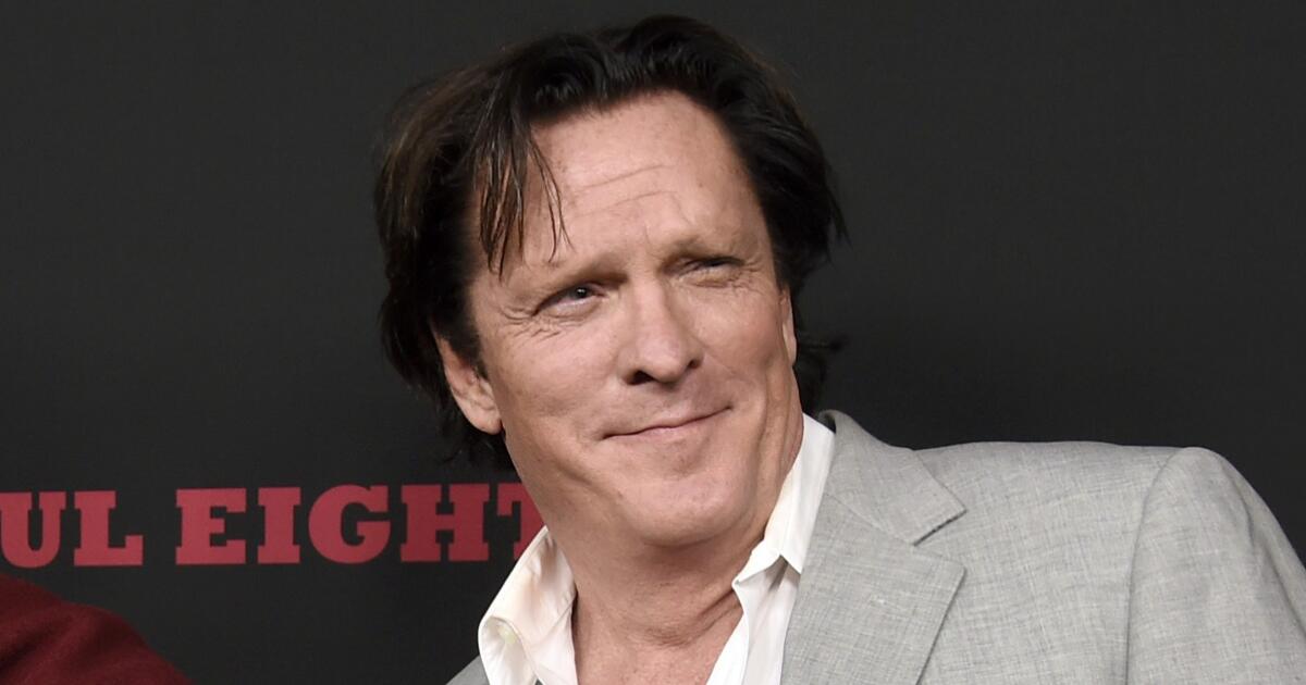 Michael Madsen arrested in alleged home violence incident