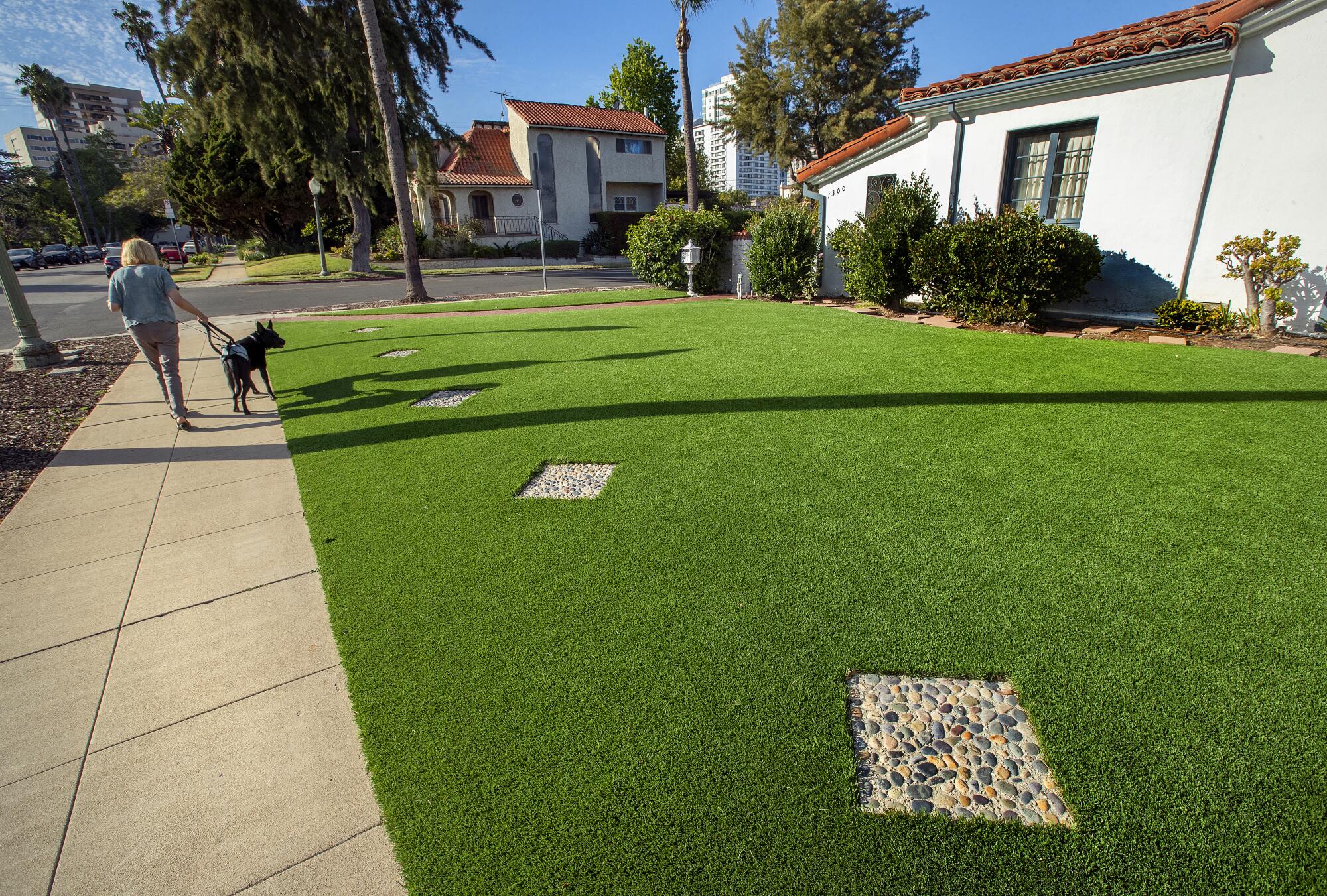 A pedestrian and her dog walk past a home with fake grass. 