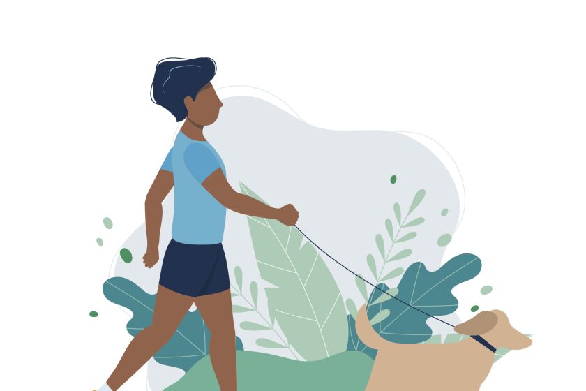 illustration of woman walking her dog outside amid greenery