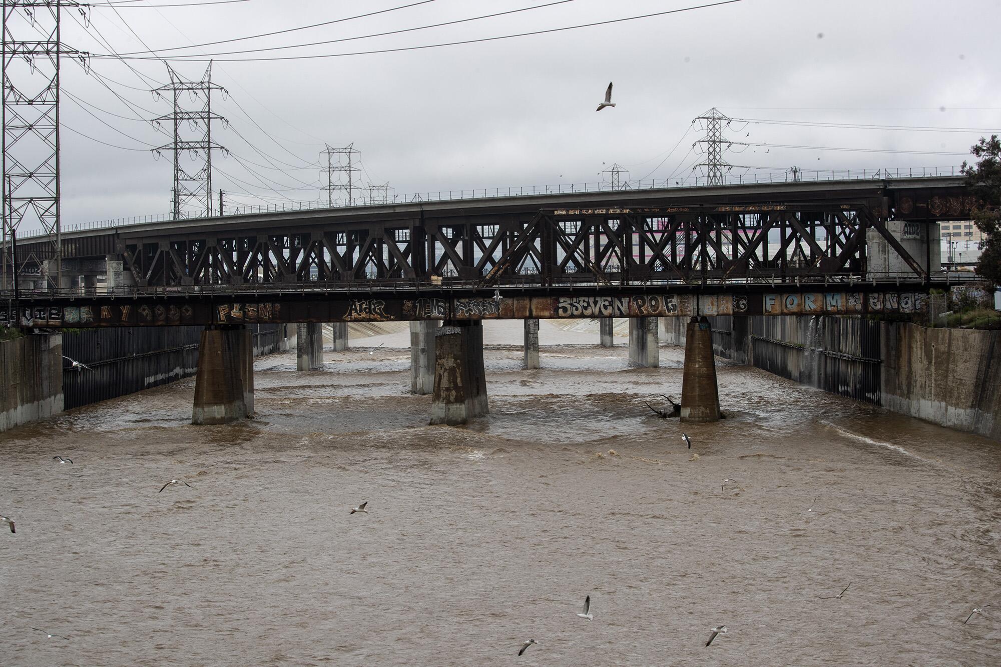 Muddy water fills the concrete lined Los Angeles River