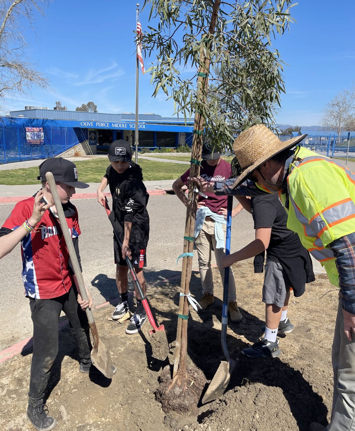 Kevin Akers of Davey Resource Group guides Olive Peirce students in planting trees at their school.