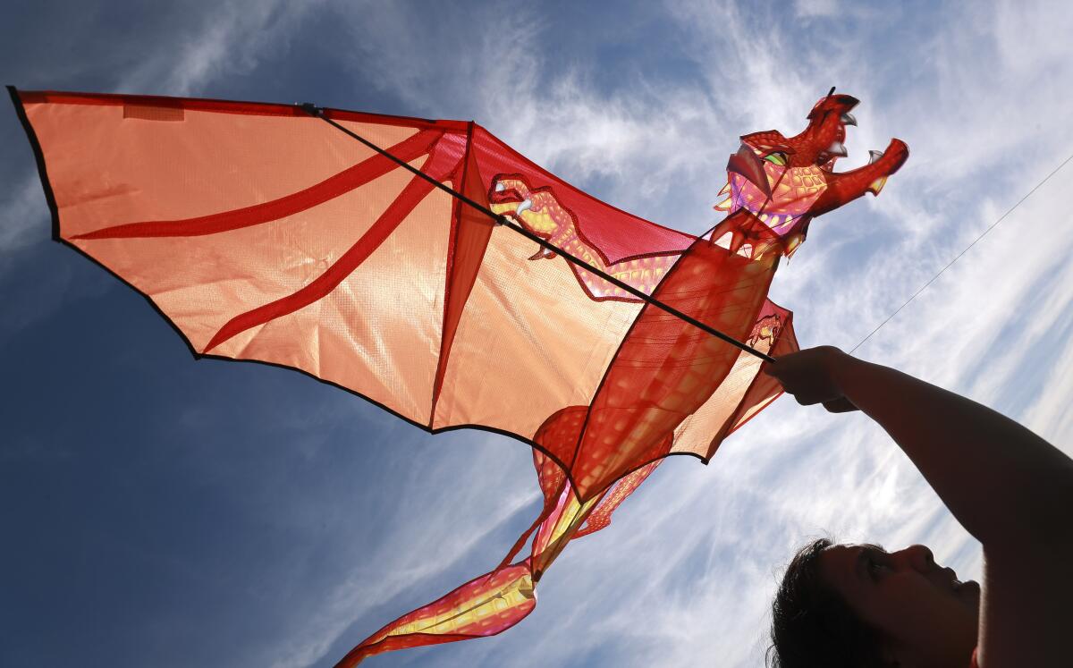 A woman holds up a dragon kite she's preparing to fly.