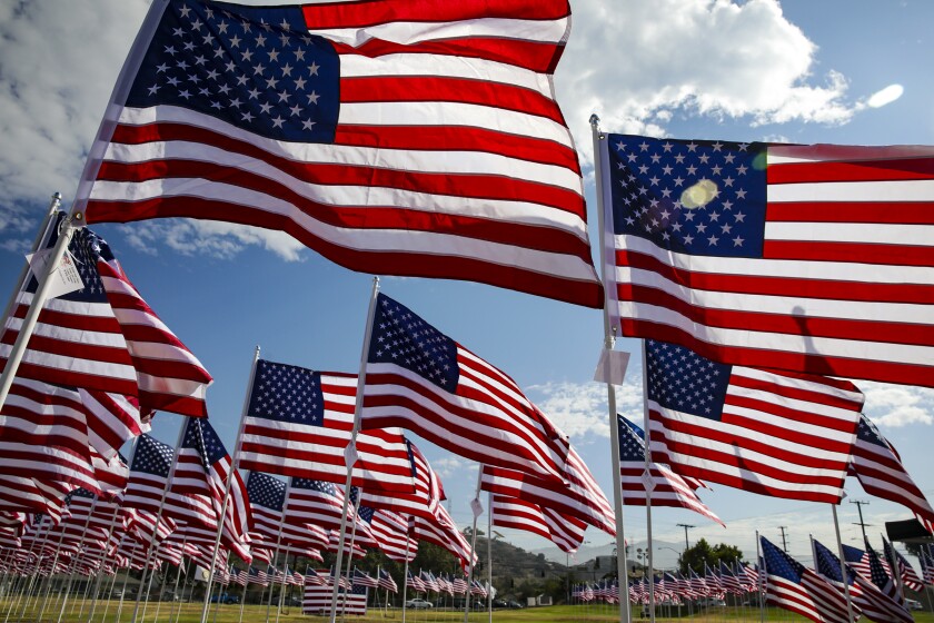 A field of American flags waving in the wind