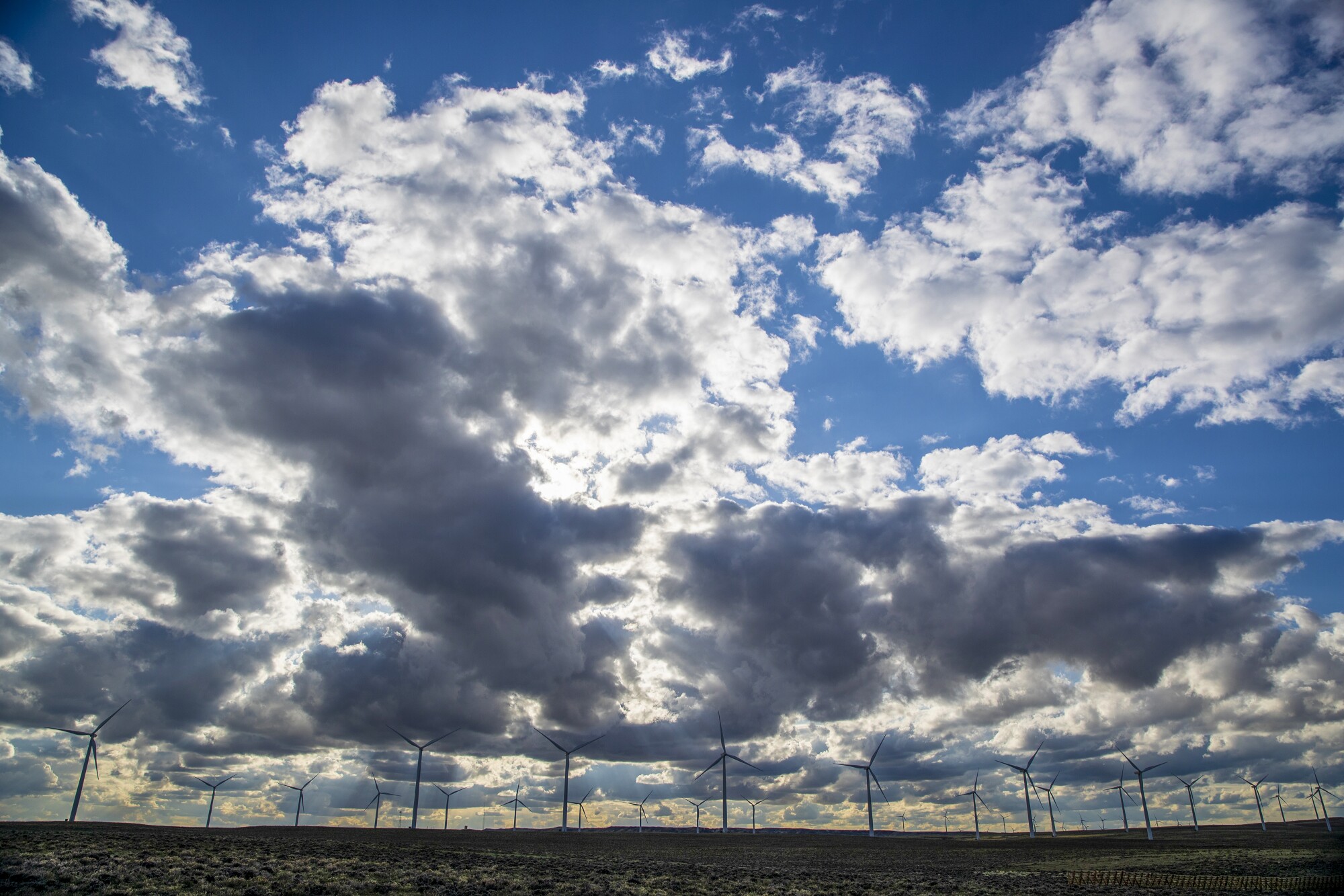 Wind turbines line the horizon at PacifiCorp's Ekola Flats facility.