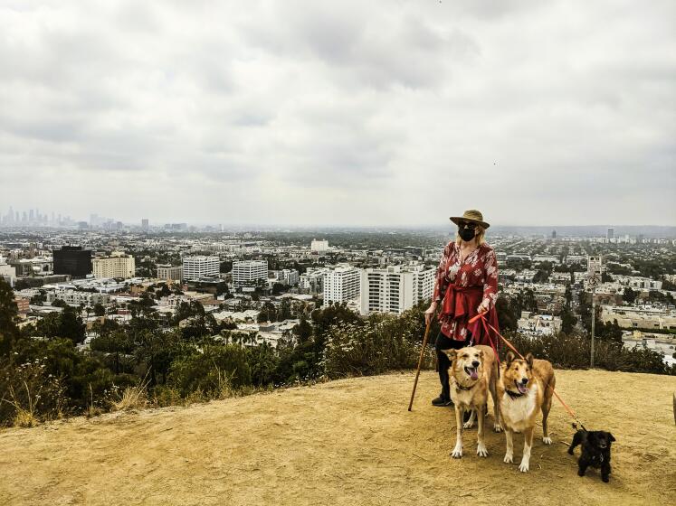 Best San Francisco Hikes (That Are Also Dog Friendly)