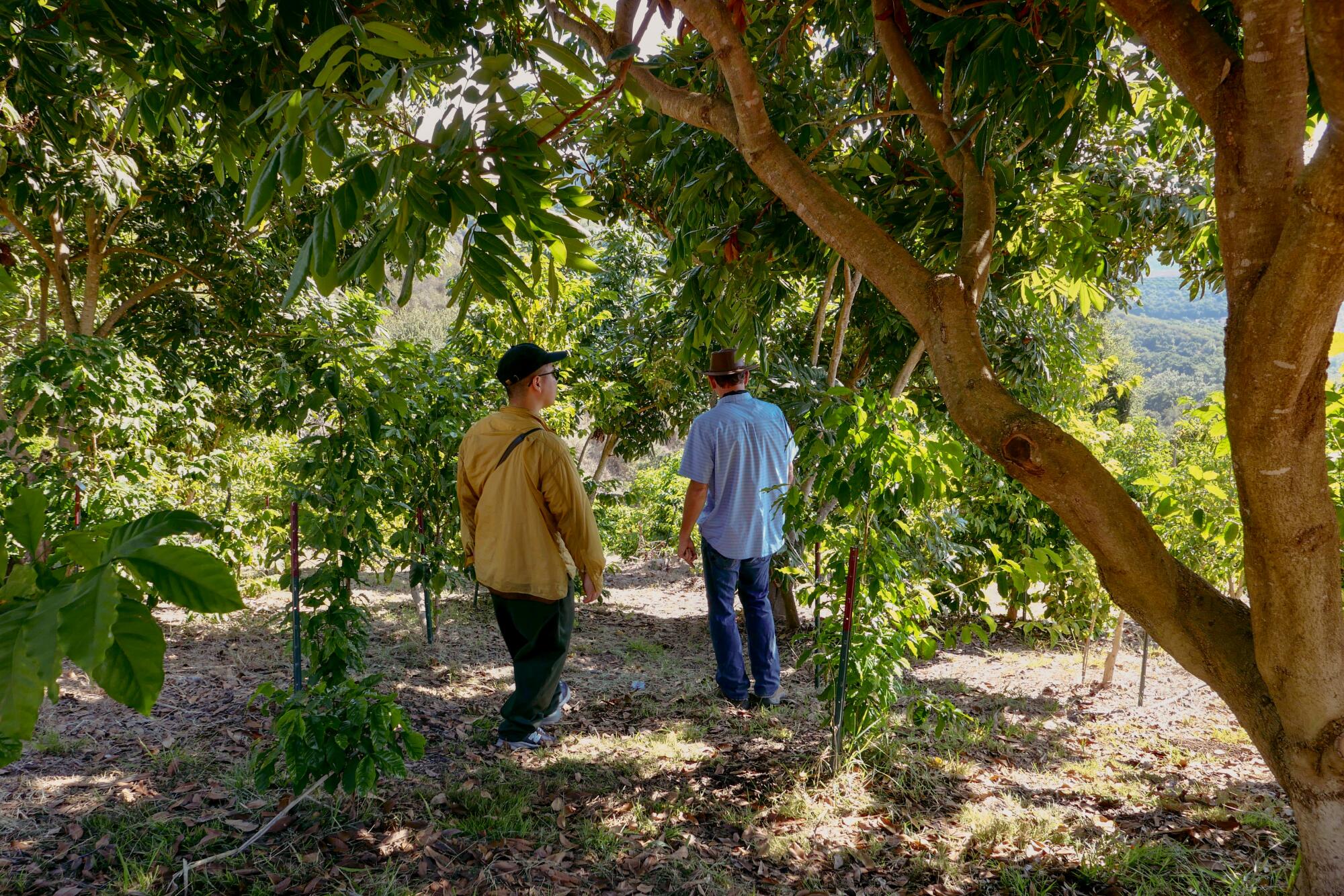 Two men stand among trees at Jay Ruskey's Good Land Organics farm in Goleta.