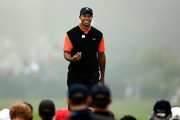 Tiger in the fog