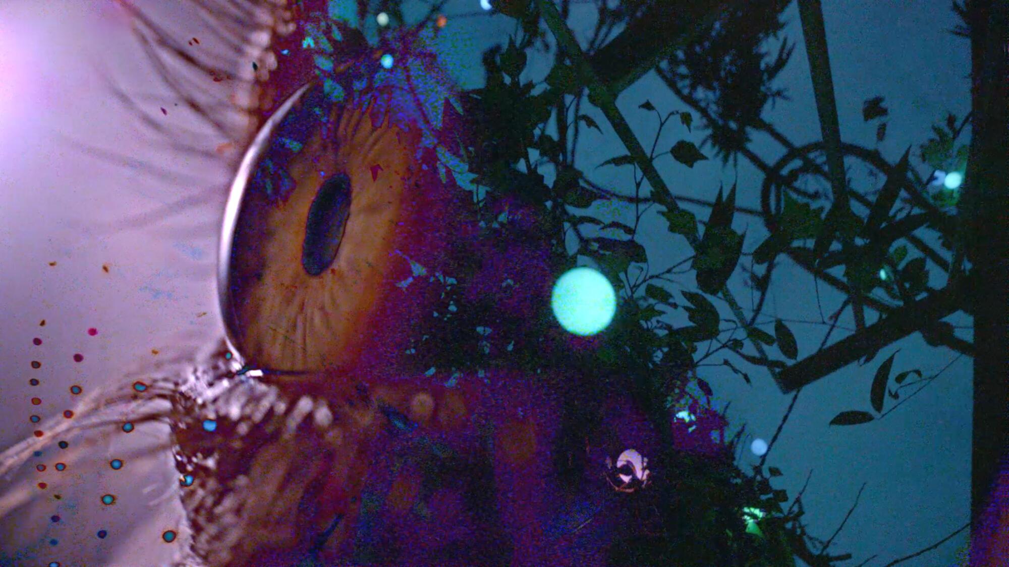 A video still shows a close-up of an eye against vegetation and a purple sky.