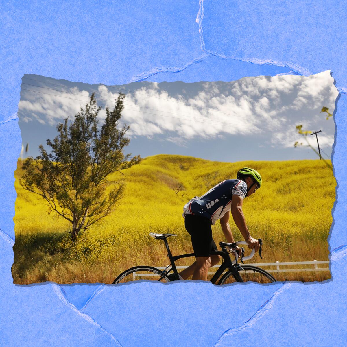 A man rides a bike in front of a mountain covered in mustard flowers.