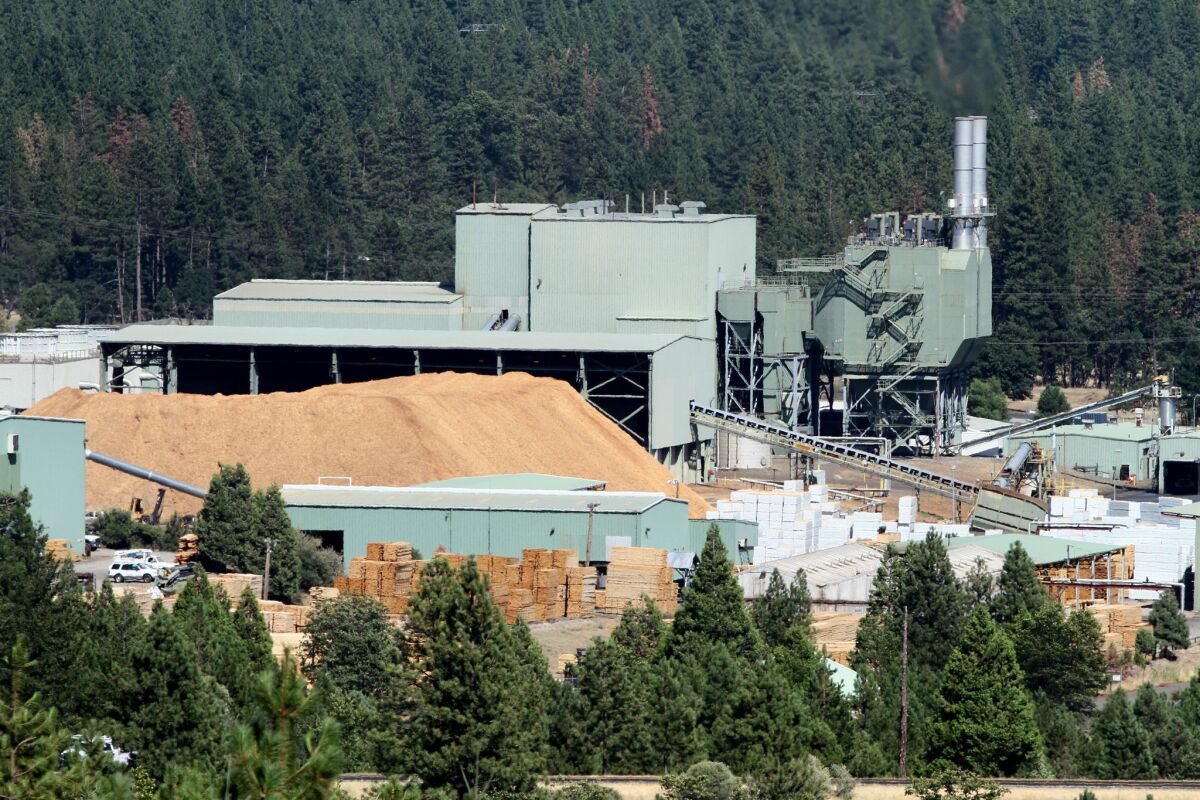 An aerial view of a biomass plant surrounded by evergreen trees.