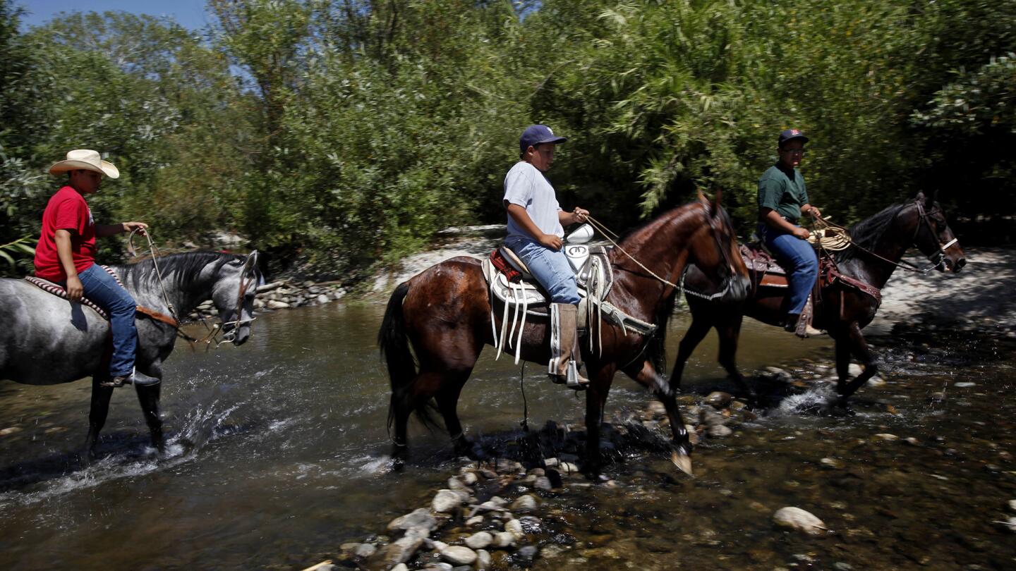 Tujunga Wash