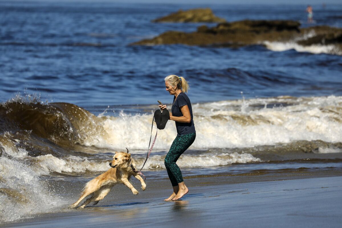 Cece Lewis and her golden retriever, Lala, play in the waves at Laguna Beach.