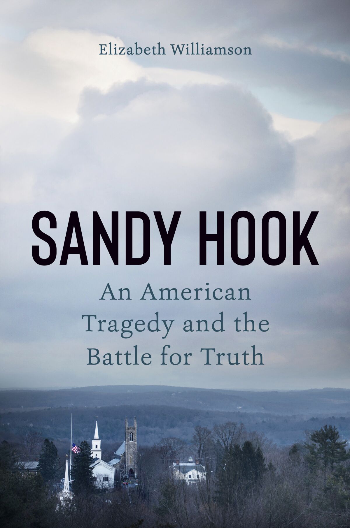 This image released by Dutton shows "Sandy Hook: An American Tragedy and the Battle of Truth" by Elizabeth Williamson. (Dutton via AP)
