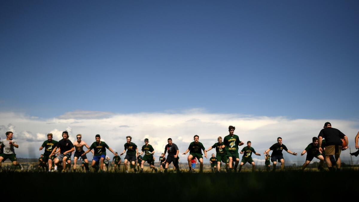 Paradise football players run drills during practice May 28 at Marsh Junior High School in Chico.