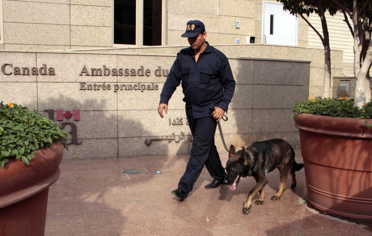 A security officer and a dog are deployed in front of the Canadian Embassy in Cairo on Dec. 8.