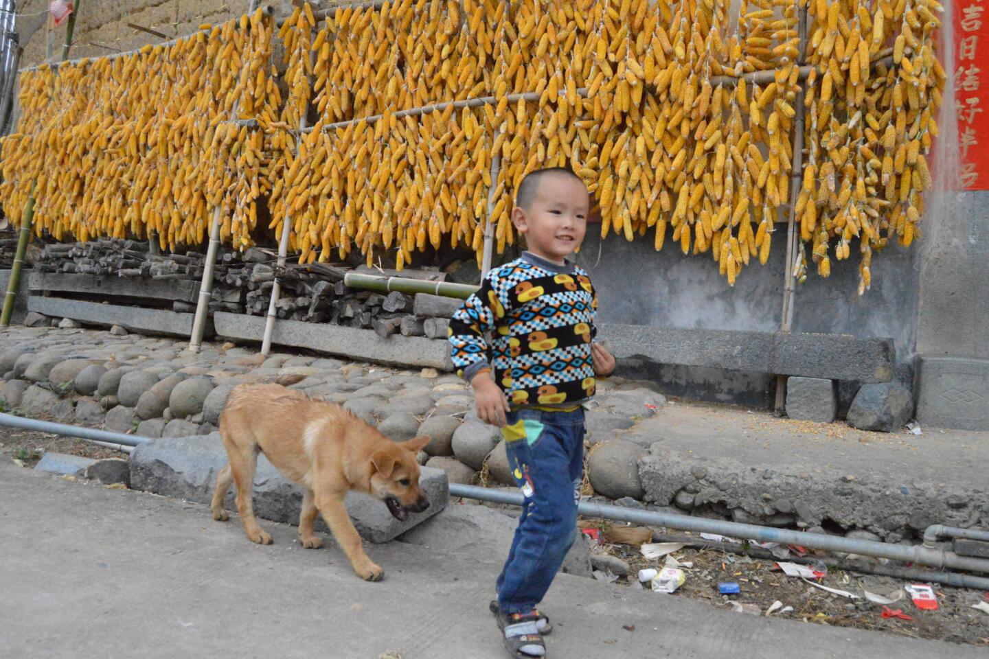 Great Read: In China, clans' fortress homes abandoned for modern