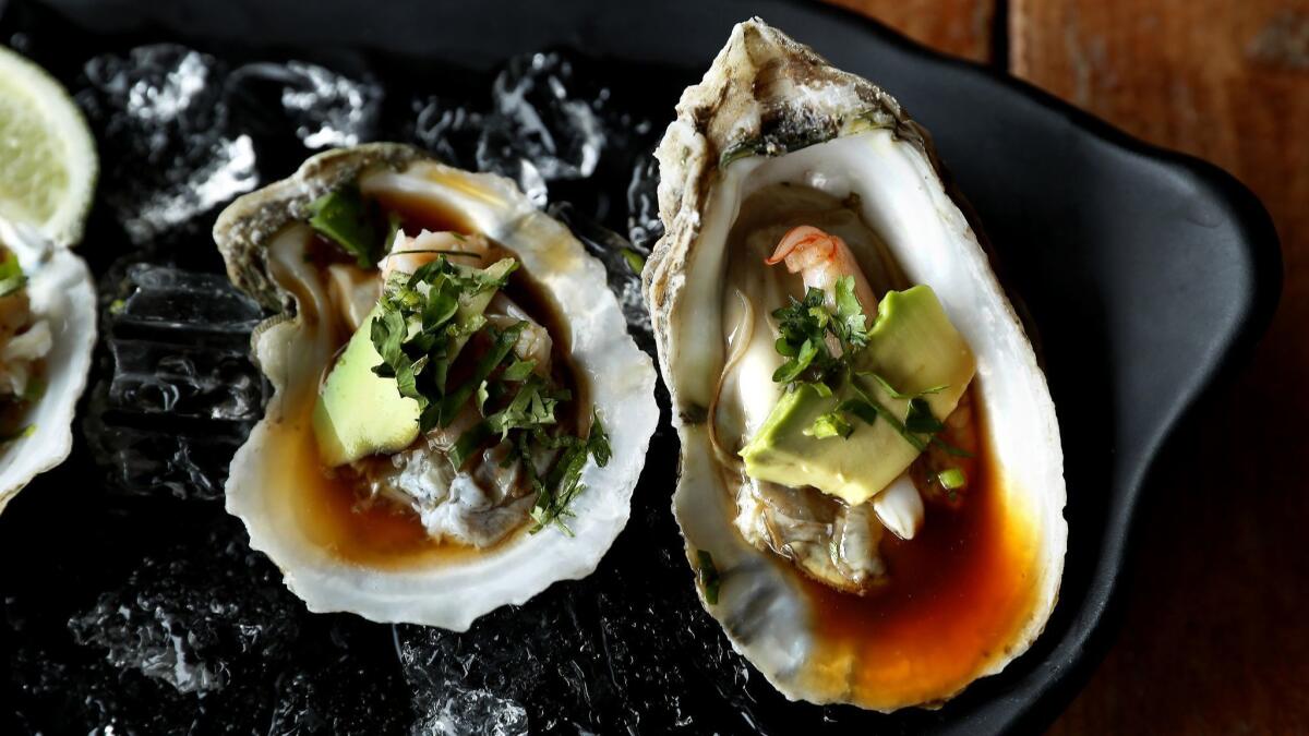 Oysters in a half shell, shrimp, avocado and ahogada sauce at El Coraloense.