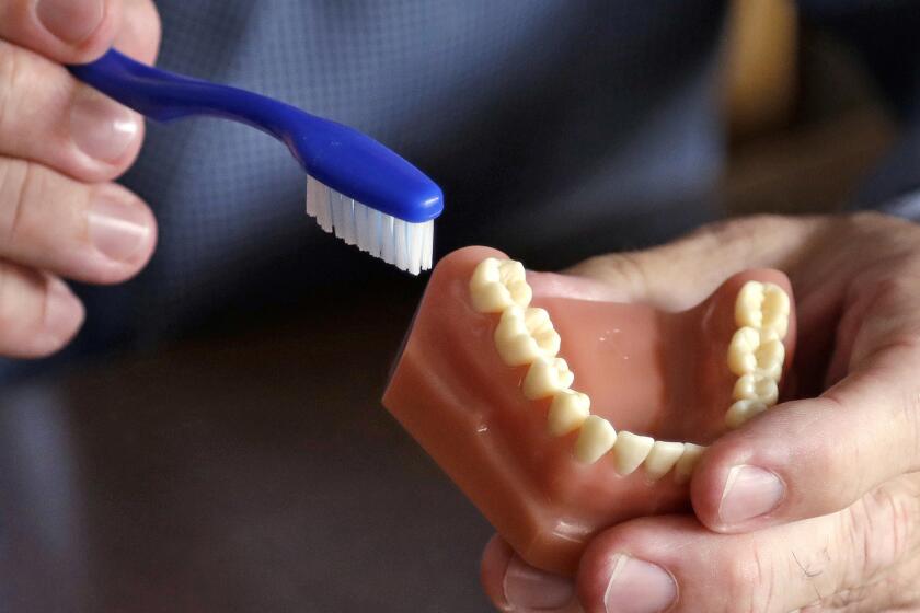 Un dentista sostiene un modelo dental y un cepillo de dientes en Seattle, el 3 de agosto de 2018. (AP Foto/Elaine Thompson, Archivo)