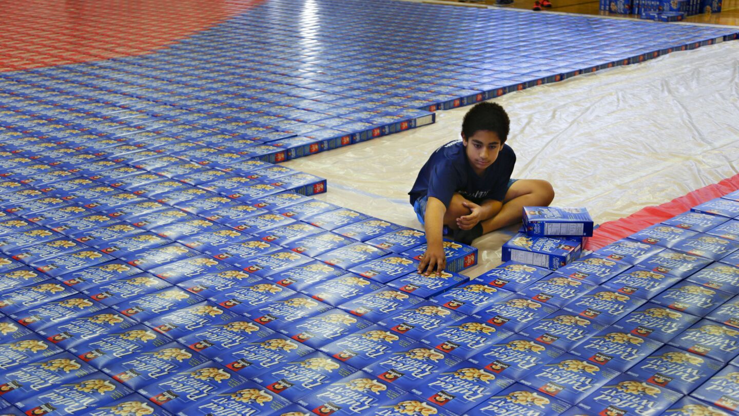 Aadam Awad places cereal cardboard boxes into position as he and his class mates from Francis Parker School attempt to break the world’s largest cardboard box mosaic yesterday on Sunday.