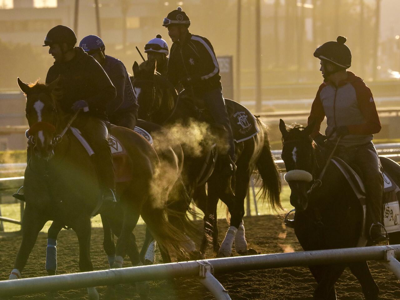 Horse racing resumes at Santa Anita