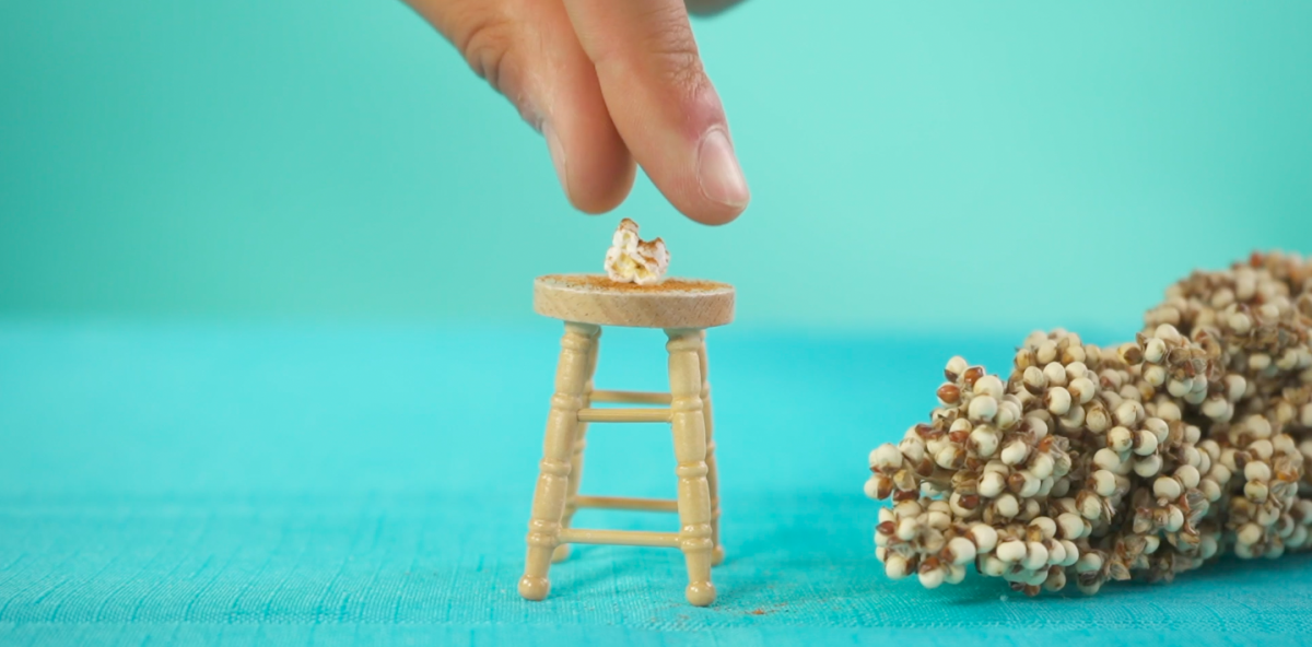 Chasin' Dreams Farm makes its "Tiny Pops" gluten-free snacks out of sorghum, an ancient grain.