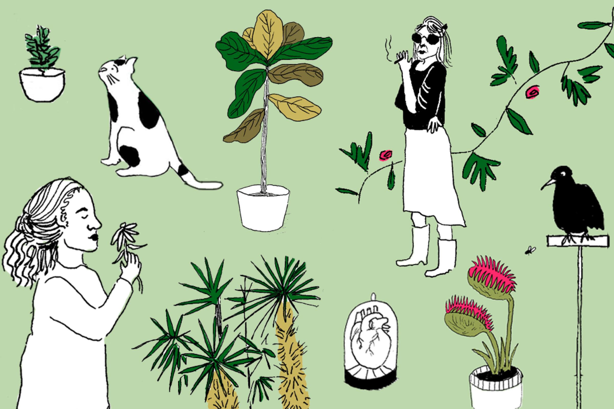An illustration of two women and a variety of plants, plus a crow, a cat and a heart in a glass case 