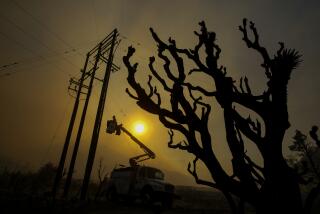 A SoCal Edison worker fixes the power lines that were damaged from the Sheep Fire burning in Wrightwood, Calif., Sunday, June 12, 2022. (AP Photo/Ringo H.W. Chiu)