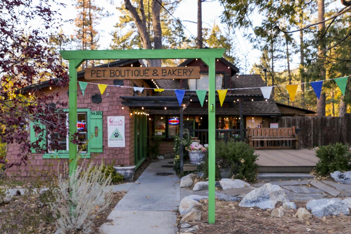 The exterior of Mountain Paws pet boutique and bakery in Idyllwild.