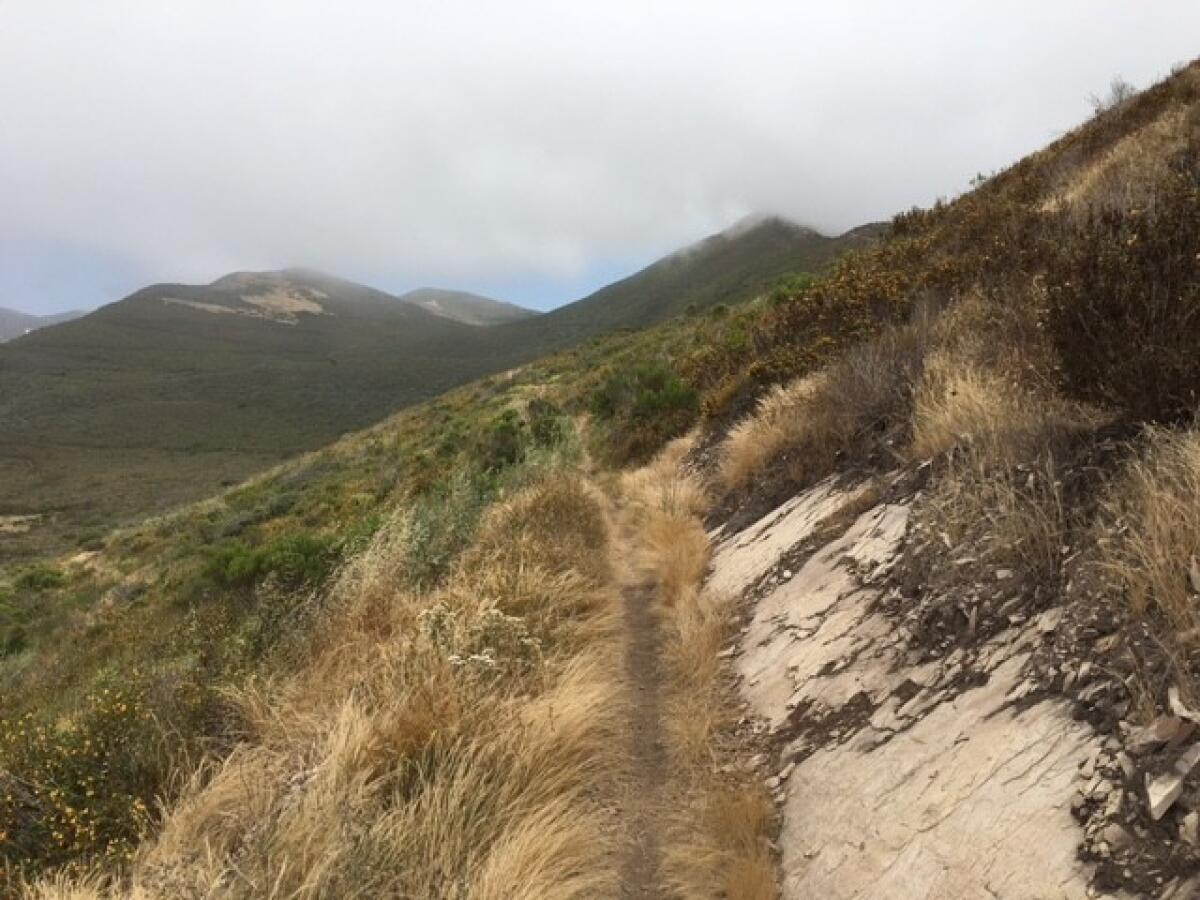 The trail to Valencia Peak in Montana de Oro State Park is narrow and often shrouded in fog.