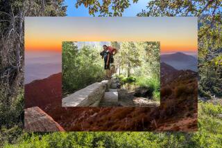 Three photos featuring various flora and a sunset from the article composited into one photo