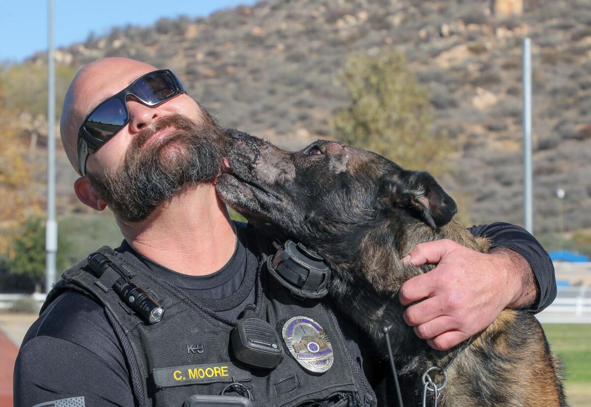 Escondido police Officer Chad Moore and his police dog, Aros, who is licking Moore.