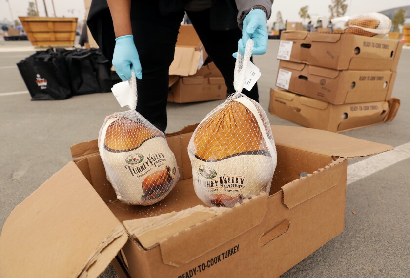 Gloved hands holding two big frozen turkeys in a cardboard box