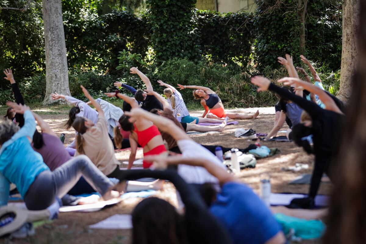 A community yoga class led by Emily Phillips in Griffith Park.