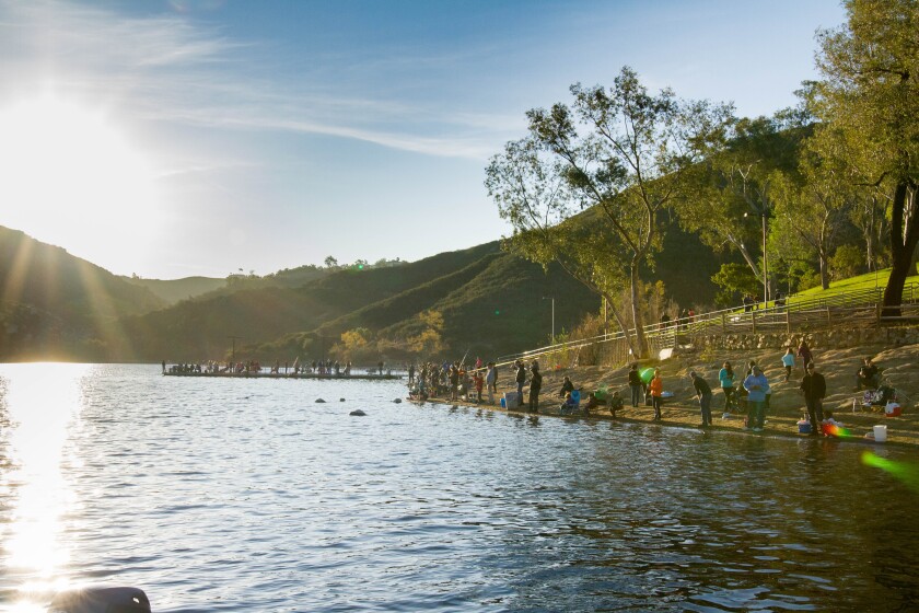 Lake Poway, a popular fishing spot, has a variety of birdlife, including ducks, turkey vultures, and red-tailed hawks.