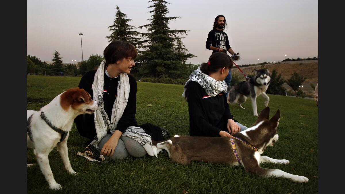 Twins Setayesh, left, and Sogand Ghadimi, 16, with their dogs, Hagen and Russell. In the background is Hashim Mahmoud with Jessica.