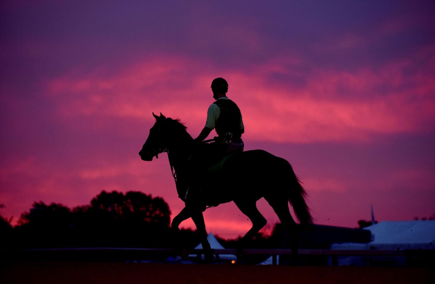 A horse gallops on the track at the Pimlico Race Course on Friday morning in preparation for the 140th running of the Preakness today.